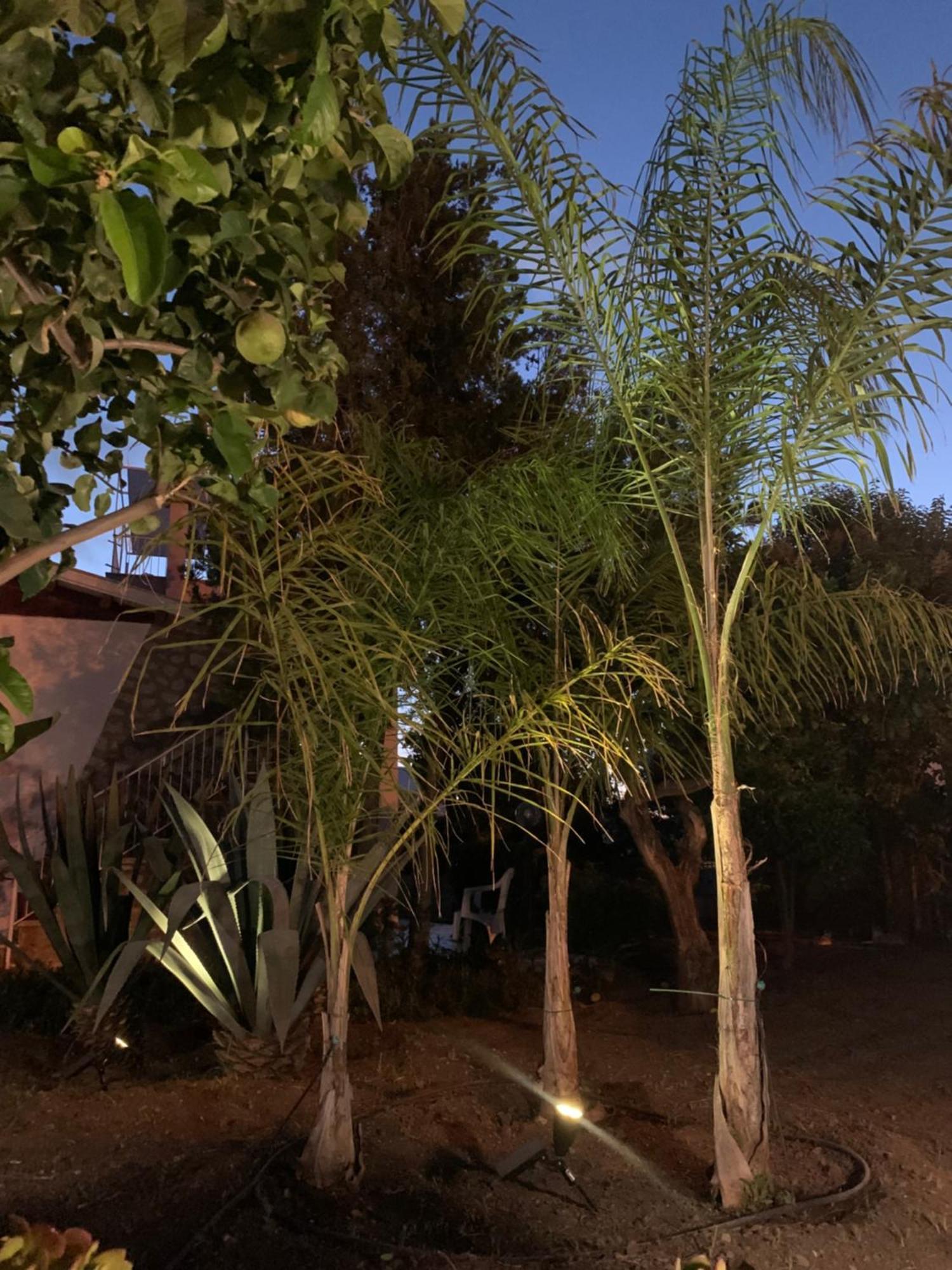 Casa Vacanze Astori Trabia Exterior photo